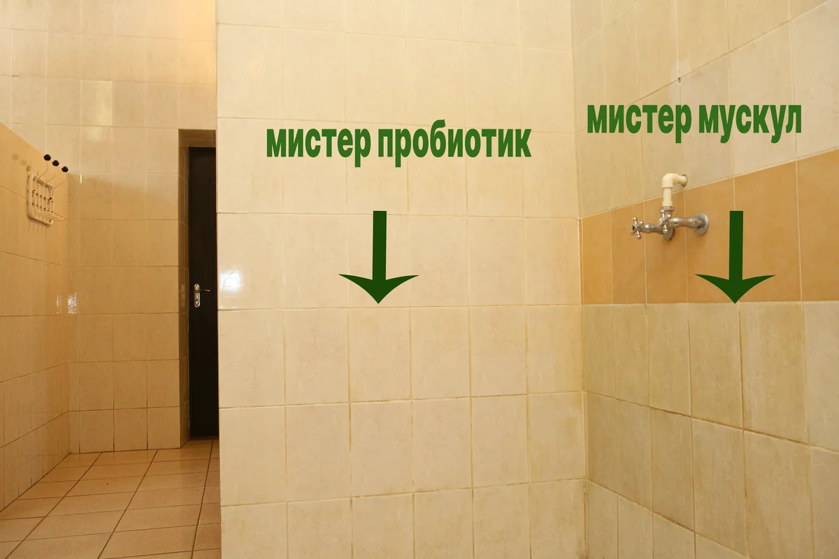 До и после 5